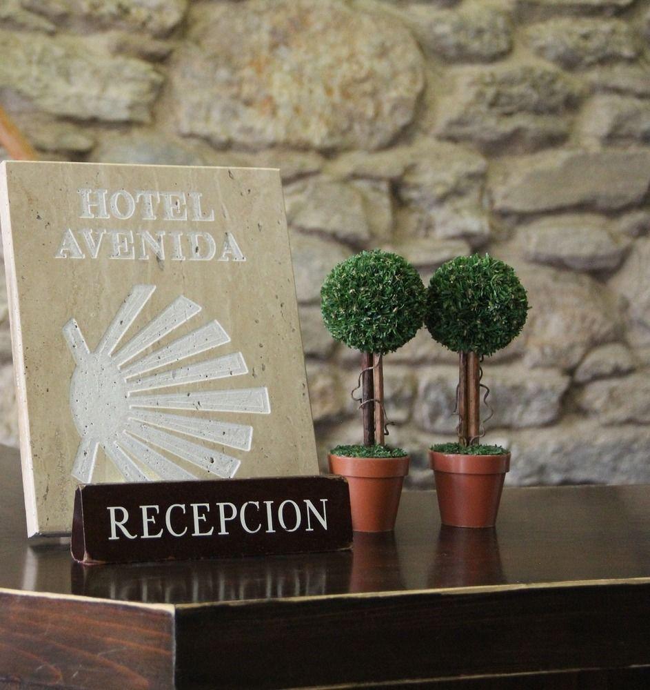 Hotel Alda Avenida サンティアゴ・デ・コンポステーラ エクステリア 写真